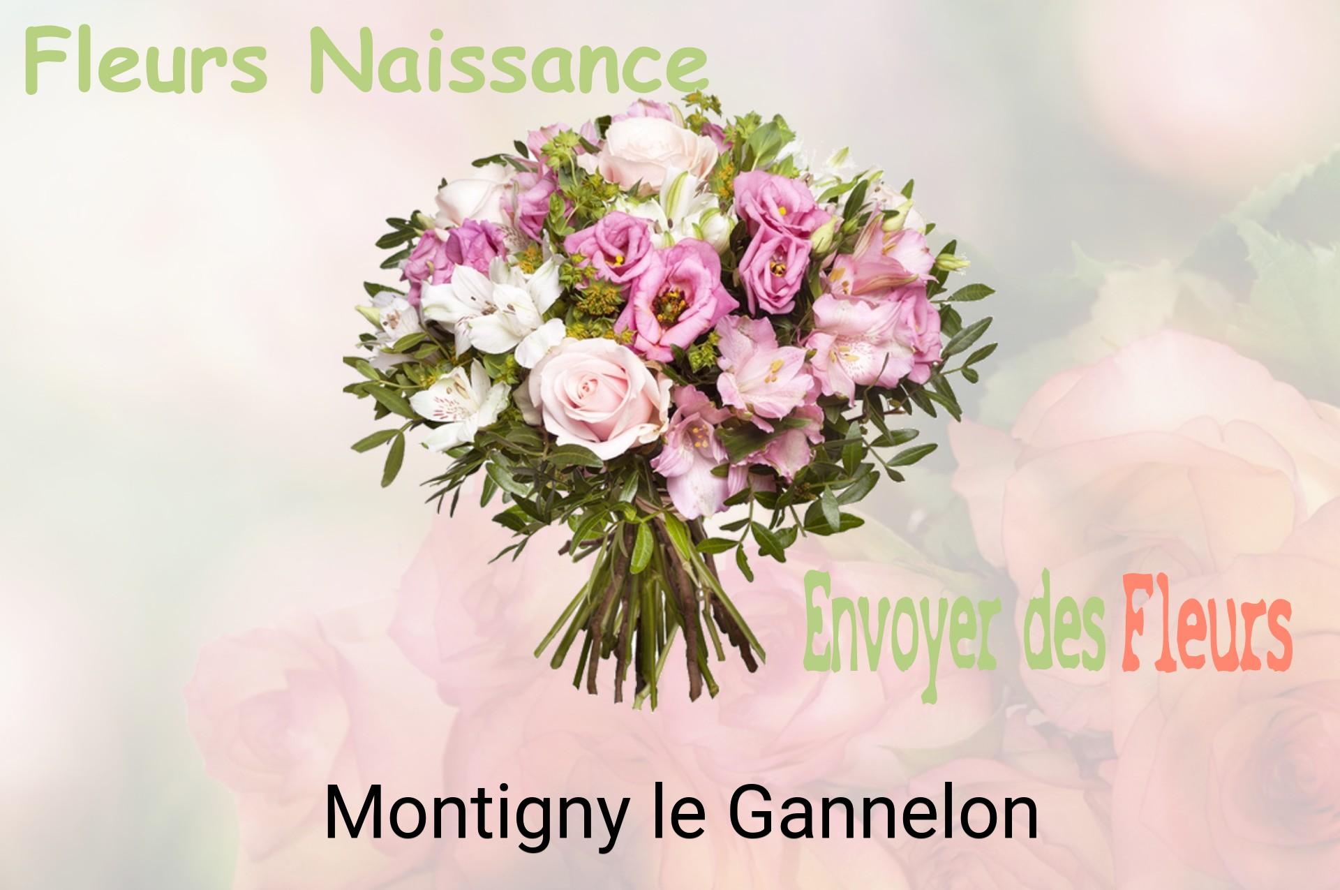 Bouquet de fleurs de naissance livré à Montigny-le-Gannelon